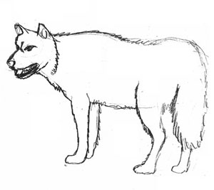 рисуем волка