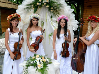 Где заказать артистов для свадьбы в Киеве?