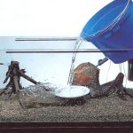 Как подготовить аквариум к заселению